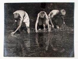 cca 1936 Reich Péter Cornel: Békászok, pecséttel jelzett vintage fotó, 23x29 cm