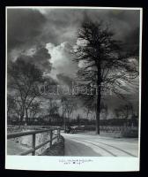 cca 1943 Reich Péter Cornel: Székesfőváros Állatkerti pályázatára beadott vintage fotó, feliratozva, pecsételve, 30x24 cm