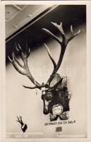 Jagdausstellung 1937 Foto AK