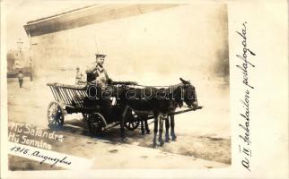 1915 K.u.K. Kriegsmarine, a IV. Felbataillon postafogata / Marinepost postal carriage, photo