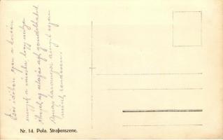 1915 K.u.K. Kriegsmarine, a IV. Felbataillon postafogata / Marinepost postal carriage, photo