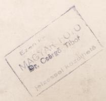 cca 1950 Dr. Csörgeő Tibor (1896-1968): Szemműtét Budapesten, a Fehérvári úti rendelőben, pecséttel ...