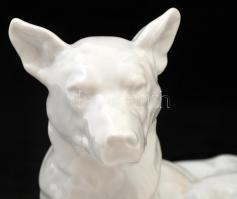Herendi fehérmázas porcelán fekvő kutya, jelzett (mélynyomás), hibátlan, m:18 cm, h:29,5 cm