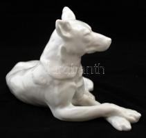 Herendi fehérmázas porcelán fekvő kutya, jelzett (mélynyomás), hibátlan, m:18 cm, h:29,5 cm