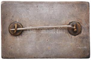 1909. "Az érdem jeléül - Sparta Atlétikai Klub 1909" jelzett Ag díjplakett (56x37mm) T:2,2...