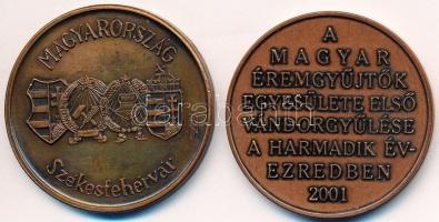 Székely János Jenő (1956-) "MÉE Székesfehérvár - 45 éves a Forint" Br emlékérem (42,5mm) +...