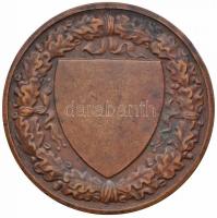 Berán Lajos (1882-1943) DN "Budapesti (Budai) Torna Egylet 1869 - Botond" Br díjérem (40mm...