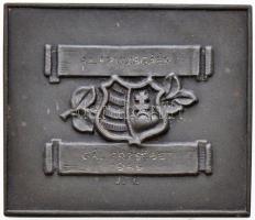 1925. "Testnevelési Főiskola" fém plakett adományozói dísztokban. Szign.: J.I. (69x59mm) T...