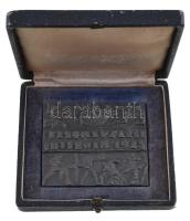 1925. "Testnevelési Főiskola" fém plakett adományozói dísztokban. Szign.: J.I. (69x59mm) T...