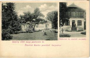 Gerjen, Kovács puszta, kastély előtti nagy paulovnia fa, földszint és emeleti veranda