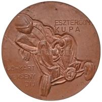 ~1980. "Magyar Auto Klub - Esztergomi Szervezet / Esztergom Kupa - Go-Kart Verseny-díj" Cu emlékérem (60mm) T:2