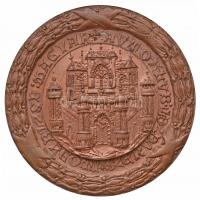 ~1980. "Magyar Auto Klub - Esztergomi Szervezet / Esztergom Kupa - Go-Kart Verseny-díj" Cu...