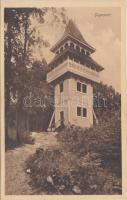 Segesvár, kilátó torony / lookout tower