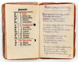 1924 Mini Tárca Naptár az 1924. évre. A tulajdonos amatőr verseivel. Színes, illusztrált, kiadói pap...