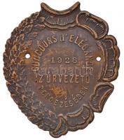 1928. "Concours D'Elégance - Az Úrvezető Rendezésében" préselt rézlemez jelvény (57x49mm) T:2 a csavarok letörtek Hungary 1928. "Concours D'Elégance - Az Úrvezető Rendezésében" Cu badge (57x49mm) C:XF the screws are missing