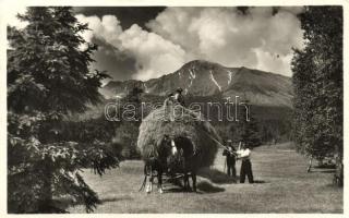 Tátraszéplak, Nagyszalóki-csúcs, folklór / mountain peak, folklore