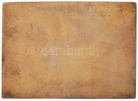 Berán Lajos (1882-1943) DN "Országos Magyar Lövész Szövetség" aranyozott Br plakett (70x50...