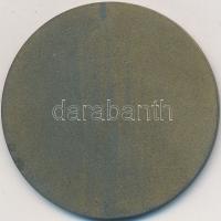 1943. "A M.A.E.SZ. Repülőtúrája Vitéz Horthy István emlékére" bronzozott hadifém emlékérem...