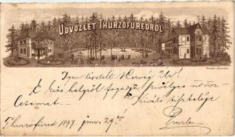 1897 Thurzófüred s: Freyer (?) (13.7 x 8 cm) (Rb)