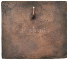 Tamás Ernő (1941-) DN "Liszt Ferenc" Br plakett (111x99mm) T:2,2-