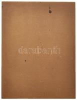 Iván István (1905-1968) DN "Zalaegerszeg" Br plakett (80x60mm) T:1-,2