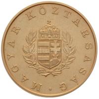 DN "Országos Testnevelési és Sporthivatal / Magyar Köztársaság" piefort aranyozott emlékér...