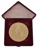 DN "Országos Testnevelési és Sporthivatal / Magyar Köztársaság" piefort aranyozott emlékér...