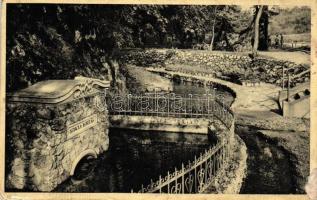 Felsőtárkány, Szikla forrás (non PC) (EK)