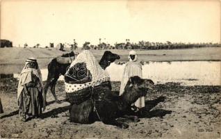 Un Palanquin / Tunisian folklore, litter, sedan chair on camel