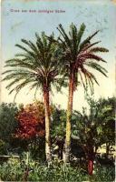 Triest - 2 old postcards