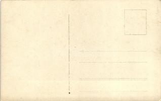 F181 Austro-Hungarian hydroplane, Pola, photo