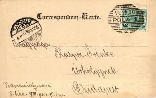 Levelet író tengerész / Austro-Hungarian mariner, Alois Beer No. 2198g