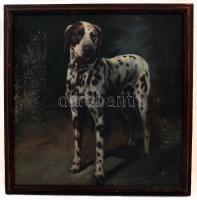 Jelzés nélkül: Dalmata. Olaj, vászon, sérült, keretben, 50×48 cm
