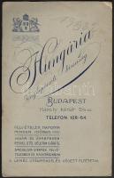 cca 1880 Keményhátú fotó Hungária fényképészeti társaság 16x11 cm
