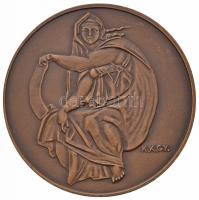 Kiss Kovács Gyula (1922-1984) DN "Michelangelo" Br emlékérem ÁPV plasztiktokban, ismertető...