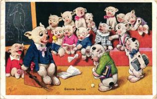 Severe lecture / Bonzo dog, school, teacher, students, B.K.W.I. 56-4. s: F. Charly (Rb)