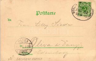 1897 Sangerhausen, Sachsenburgen, Kyffhäuser, Rothenburg, litho (EK)