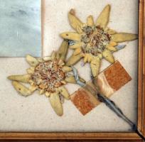 cca 1915 Régi fénykép: Felderítők sorakozója az Alpokban, préselt havasi gyopárral díszitve, jelzés ...