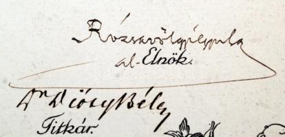 1916 Bp., A Nemzeti Zenede által a zongora főtárgy sikeres elvégzéséért kibocsátott díszes oklevele,...