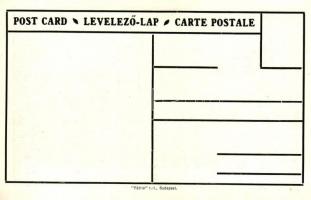 Ungvár, Irredenta s: Pólya T