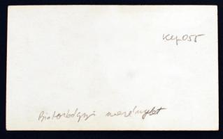 1931 A Matuska Szilveszter-féle biatorbágyi merénylet helyszíne, hátoldalon feliratozva, 6x11 cm