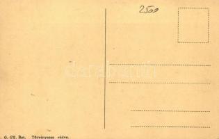 Szávaszentdemeter, Mitrovica; A szerb Timok divízió megsemmisülése, menekülés a Szávába / defeated S...