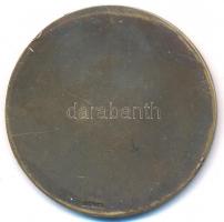 Göröntsér Greff Lajos (1888-1976) ~1940. "Magyar Úszó Szövetség 1907" Br emlékérem "L...