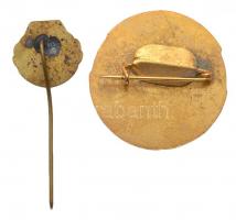 DN "A Szakszervezetért 1877-1903" Vasas aranyozott, zománcozott jelvény, miniatűrrel tokba...