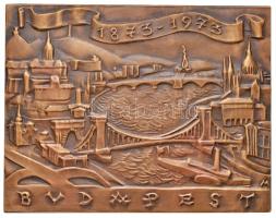 Madarassy Walter (1909-1994) 1973. "Budapest 1873-1973" Br emlékplakett (100x78mm) T:2