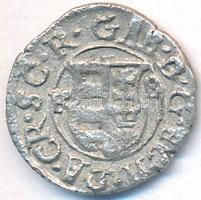 Erdély 1621KB Denár Ag "Bethlen Gábor" (0.6g) T:2-
Unger (Erdély): 272.a