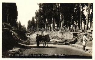 Constantinople, Grand Cimetieres de Scutari / cemetery