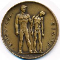 Loósz József (1908-) 1947. "SAS / Siess-Adj-Segíts / Hadifoglyokért, kórházakért, tüdőbetegekér...