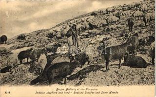 Bedouin shepherd and herd (EK)