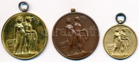 Sződy Szilárd (1878-1939) ~1930. "Budapest Székesfőváros Versenydíja" (3x) aranyozott Br é...